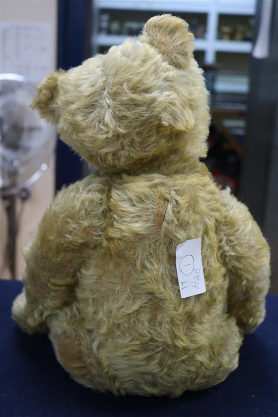 A Steiff centre seam bear, c.1908, replaced paw pads, hair loss to body, arms and legs, 20in.